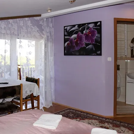 Pokoje Goscinne Szuber Iwonicz-Zdroj Room photo